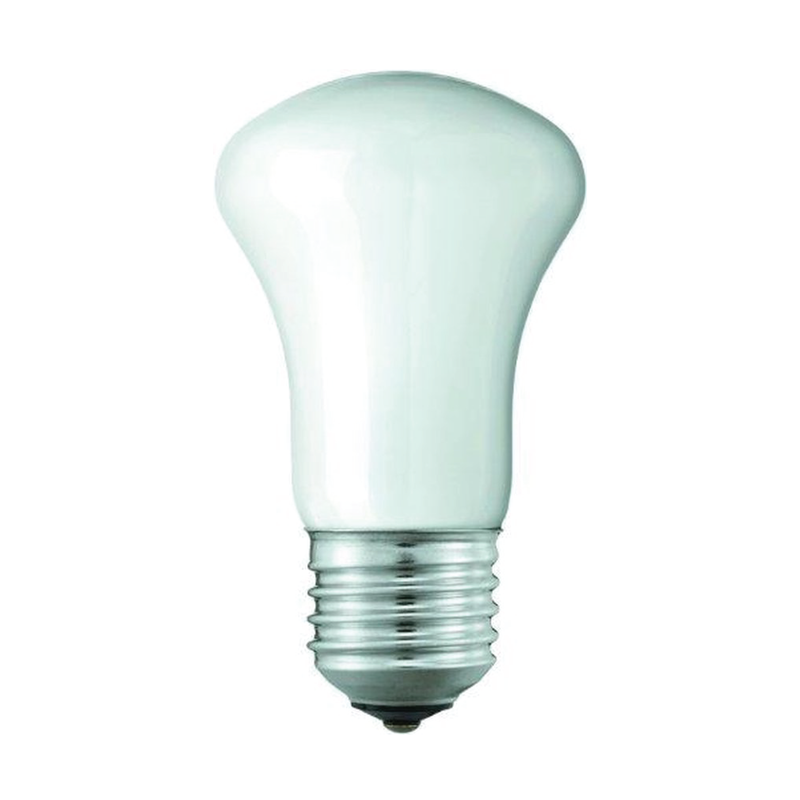 Philips Krypton Gloeilamp E27 - 60W - Warm Wit Licht - Dimbaar-8711500503756